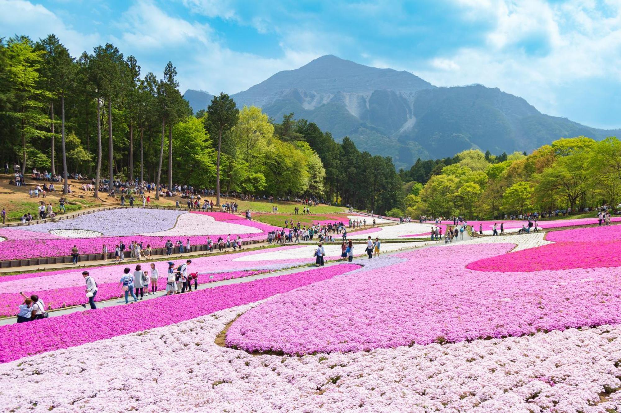 Ryokan Hiyoshi Chichibu Dış mekan fotoğraf
